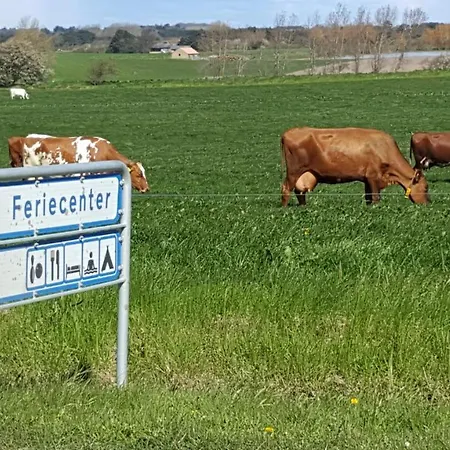 Feriepark Camping&feriecenter Samsø 2*