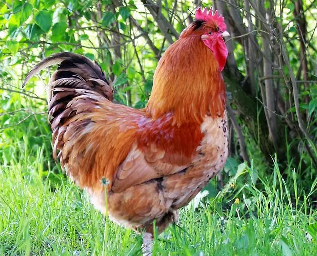 Prázdninový areál & Samso 2*